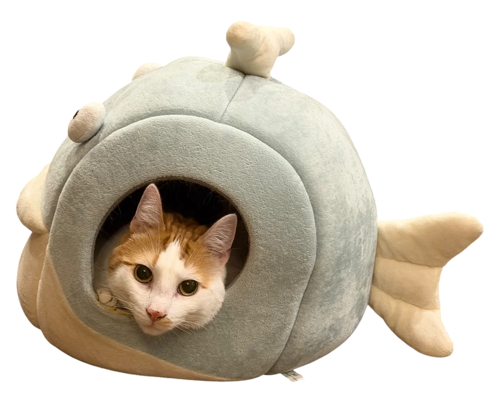 A Monty & Milo cat